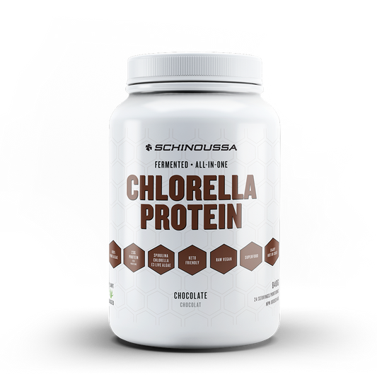 FERMENTED CHLORELLA PROTEIN CHOCOLATE ALL IN 1
