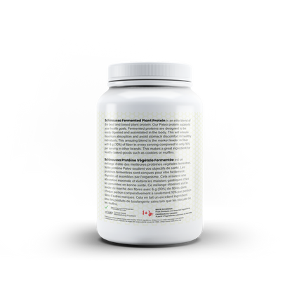 FERMENTED PLANT BASED PROTEIN VANILLA ICE CREAM - Schinoussa Superfoods