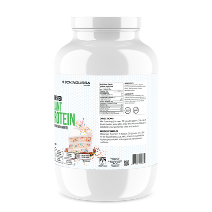 PLANT BASED RAW VEGAN PALEO PROTEIN BIRTHDAY CAKE - Schinoussa Superfoods