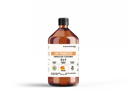 LIVE PROBIOTICS ELIXIR - HONEY MANGO - Schinoussa Superfoods