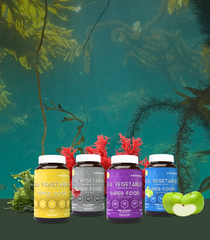 sea vegetables - new flavours