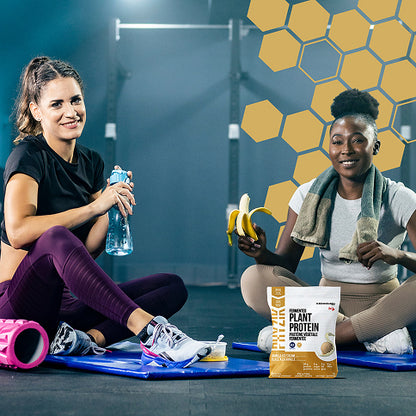 FERMENTED PLANT BASED PROTEIN VANILLA ICE CREAM