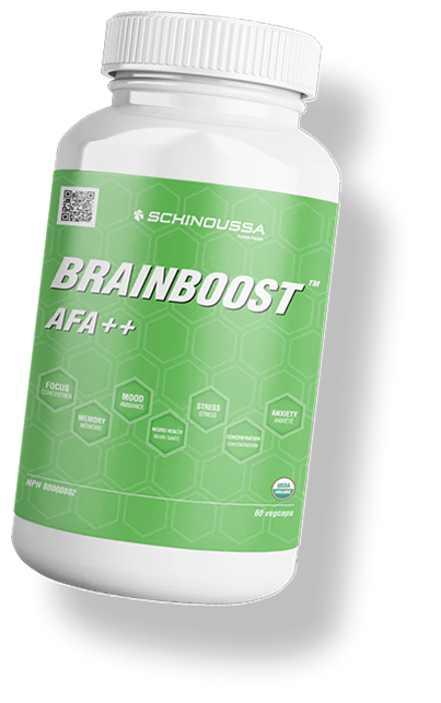 brainboost-60-caps